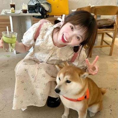 霸王龙:进化之旅